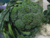 Broccoli olandez cu ardei rosu