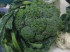 Broccoli olandez cu ardei rosu