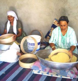 Algeriene, Algeria