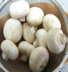 Ciupercile albe de pasune (champignon)