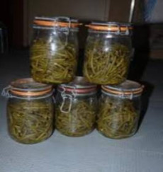Fasole conserva - cum alegem, proprietati
