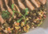 Cotlet de porc cu sos de ananas