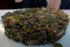 Drob cu legume