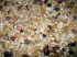 Granola cu susan, seminte de floarea soa ...