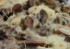 Conopida gratinata cu ciuperci