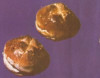 Nufar de patiserie