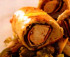 Piept de curcan in aluat