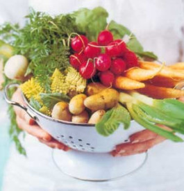 Legume