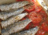 Sardine la cuptor cu sos de rosii