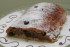 Strudel cu mere de casa