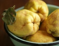 Budinca de gutui cu banane si nuca de cocos