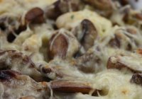 Conopida gratinata cu ciuperci