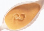 sos bechamel de hrean