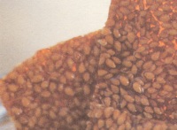 Caramel cu susan a la Jamie Oliver